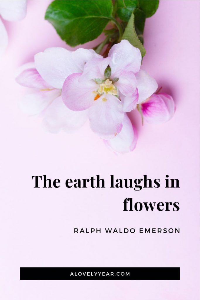 The earth laughs in flowers. - Ralph Waldo Emerson