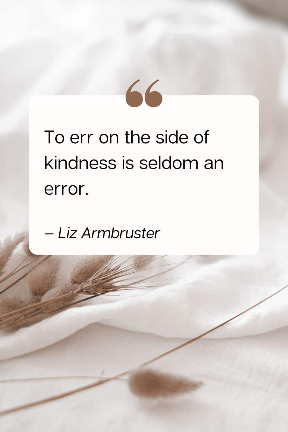 quote - To err on the side of kindness is seldom an error. — Liz Armbruster